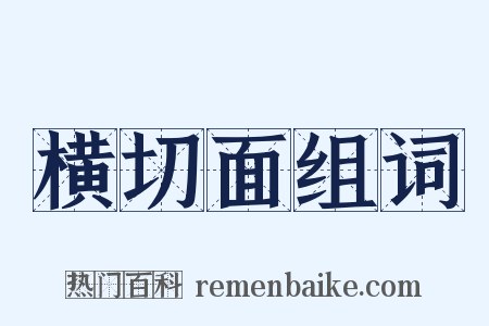 横切面组词是什么意思的图片
